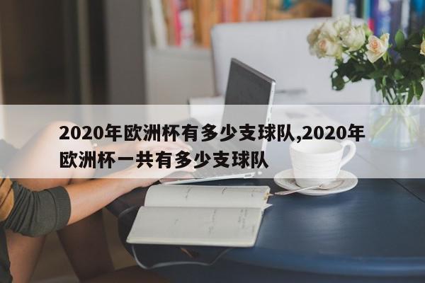 2020年欧洲杯有多少支球队,2020年欧洲杯一共有多少支球队