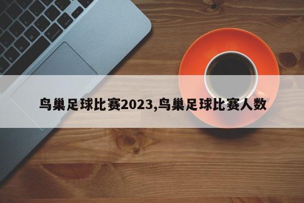 鸟巢足球比赛2023,鸟巢足球比赛人数