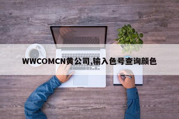 WWCOMCN黄公司,输入色号查询颜色