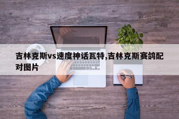 吉林克斯vs速度神话瓦特,吉林克斯赛鸽配对图片