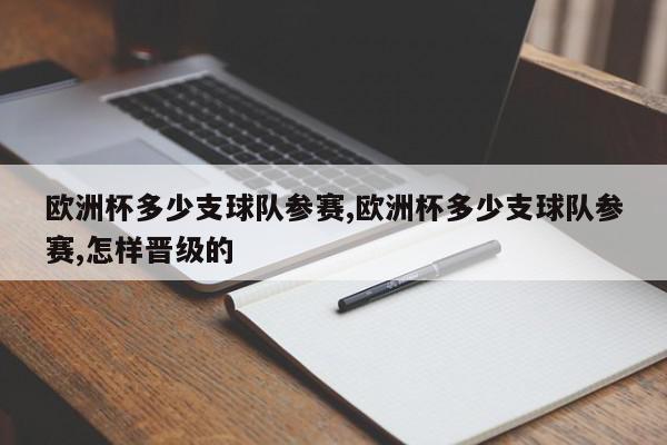 欧洲杯多少支球队参赛,欧洲杯多少支球队参赛,怎样晋级的