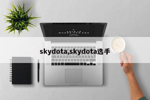 skydota,skydota选手