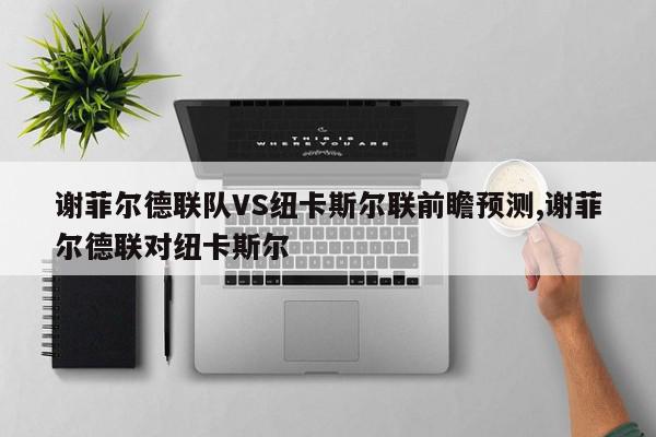 谢菲尔德联队VS纽卡斯尔联前瞻预测,谢菲尔德联对纽卡斯尔